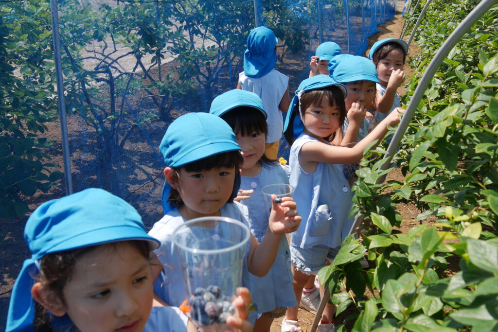 令和７年７月の予定🌸新入園児募集中