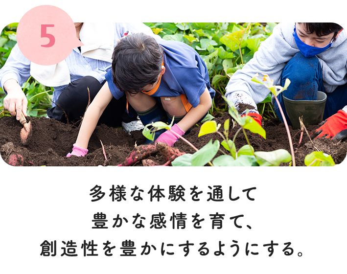 5.多様な体験を通して豊かな感情を育て、創造性を豊かにするようにする。